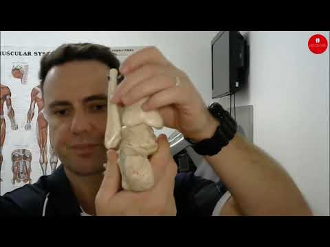 Understanding Flexible Flat Feet & Arch Support