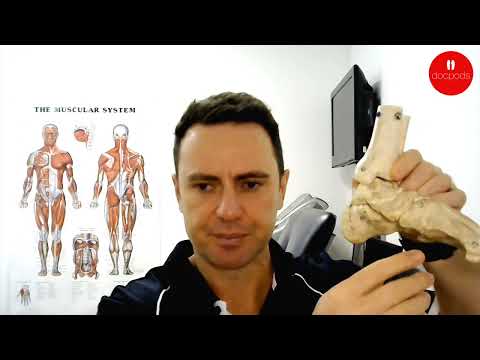 How Do Orthotic Insoles Work? | Podiatry Guide
