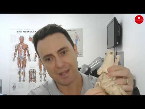 Orthotics for Pronated Feet: How Arch Support Helps