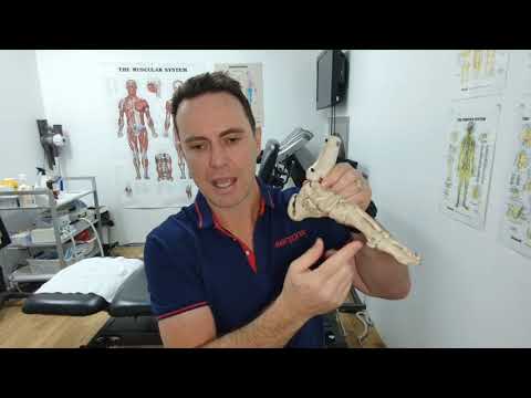 Say Goodbye to Morning Heel Pain with Arch Support Orthotic Insoles #HeelPain #ArchSupport