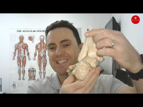 Do Orthotics Help Achilles Tendonitis?