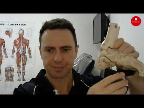 How Do Orthotic Insoles Work? Foot Support Explained