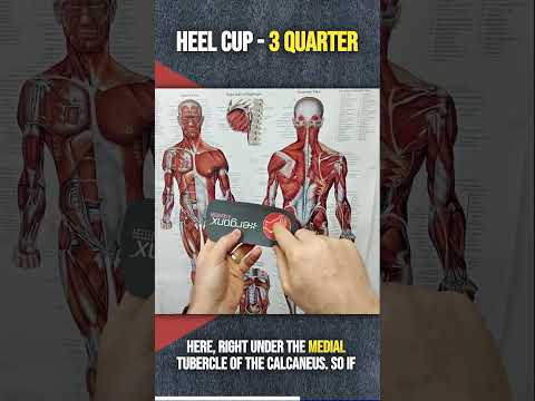 Unlock Comfort: Discover the Magic of Heel Cups in Orthotic Insoles #HeelCup #OrthoticInsoles